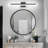 Jannika LED Vanity Light