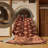 Machine Washable Overdyed Brown Area Rug-999525453