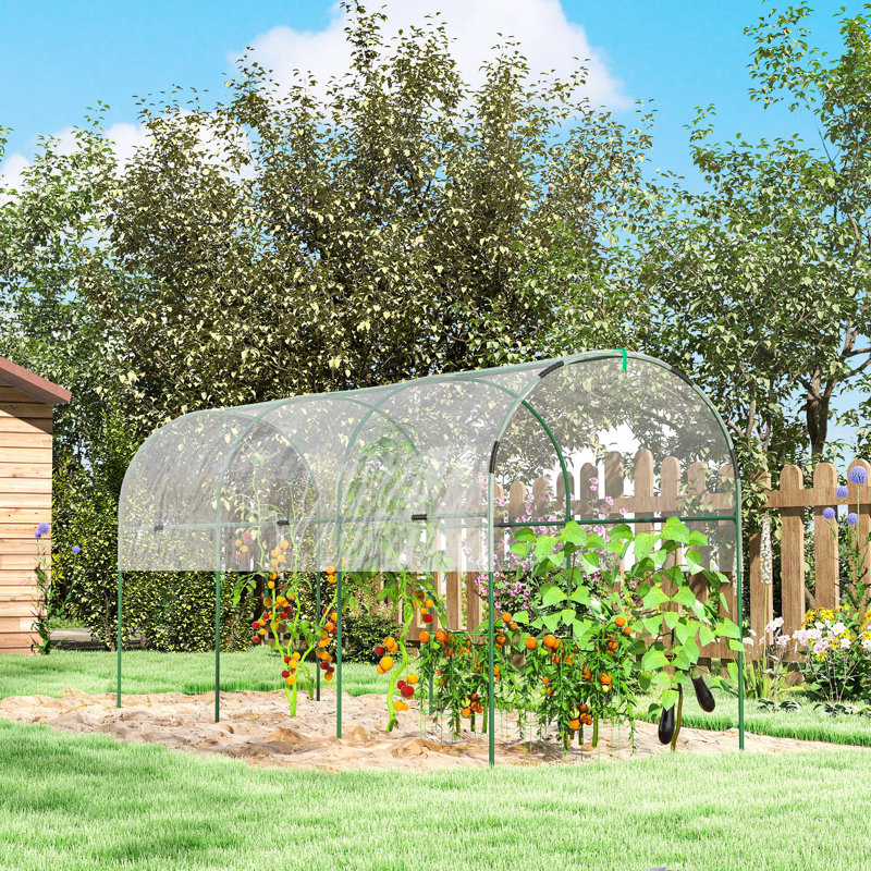Tunnel Tomato Greenhouse with 4 Hoops and Top Tap, Pointed Bottom and Guy Ropes, 400 x 123 x 171 cm