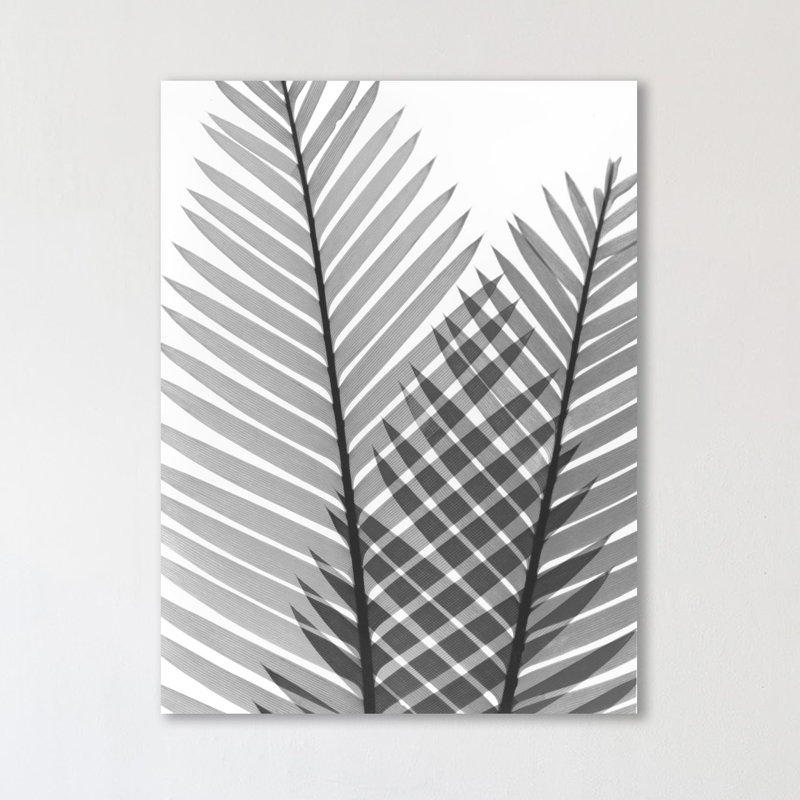 Tropical Fern I - Wrapped Canvas Print, 41 cm H x 30 cm W
