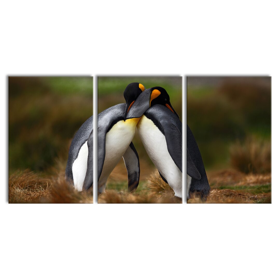 3-tlg. Leinwandbilder-Set Penguins in Antarctica