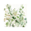 Sage Garden II by Carol Robinson - Wrapped Canvas Painting-2011197342