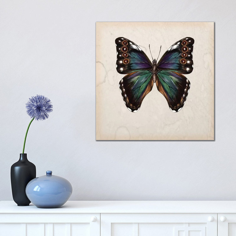 Butterfly Study III by Melissa Wang - Wrapped Canvas Painting, 45.72 cm H x 45.72 cm W