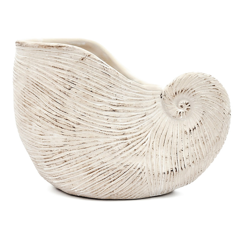 Textured Beige Sand And Cement Shell Planter Suitable For Trailing Plants Creating A Relaxed Zone In Your Home 11.5X6.7X7.7 Inches With Design Neutral Color Succulent Display Office