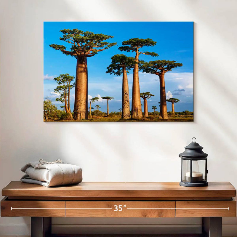 Morondava, forêt de Baobab, H 16 po x l 24 po