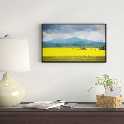 " Farm House In Field Of Canola "