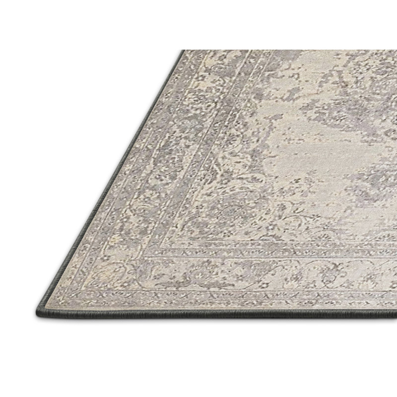 Hugette Oriental Indoor Rug, Rectangle 4' x 6'