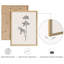 «Morning Glory Flowers», art moderne minimaliste, impressions encadrées, affiches, petit art mural de salle de bain-104788188-104788183