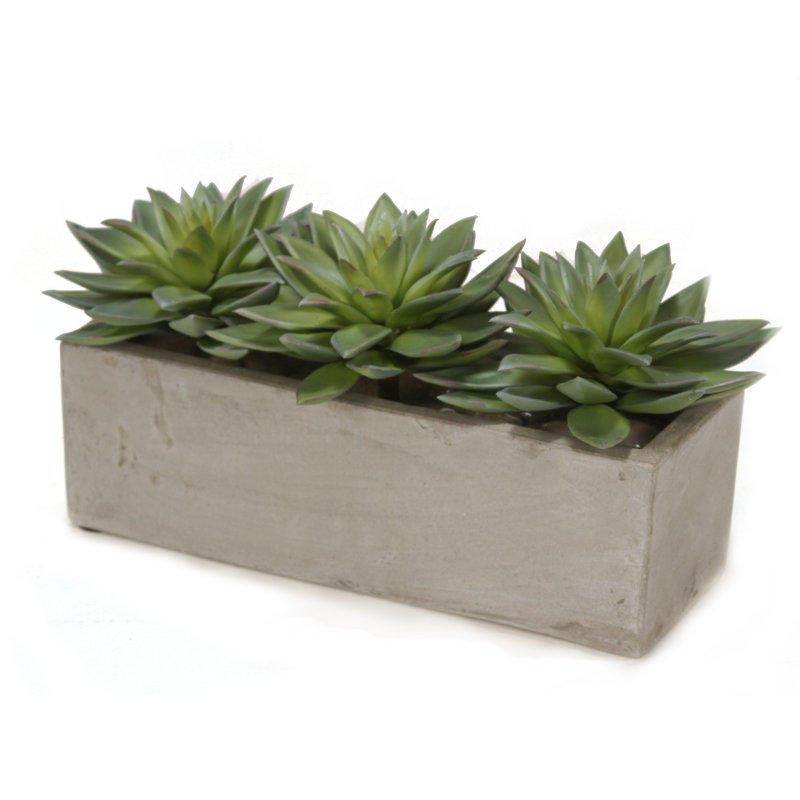 8'' Faux Succulent in Concrete Planter