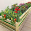 Bacs à fleurs-70050533-70050535