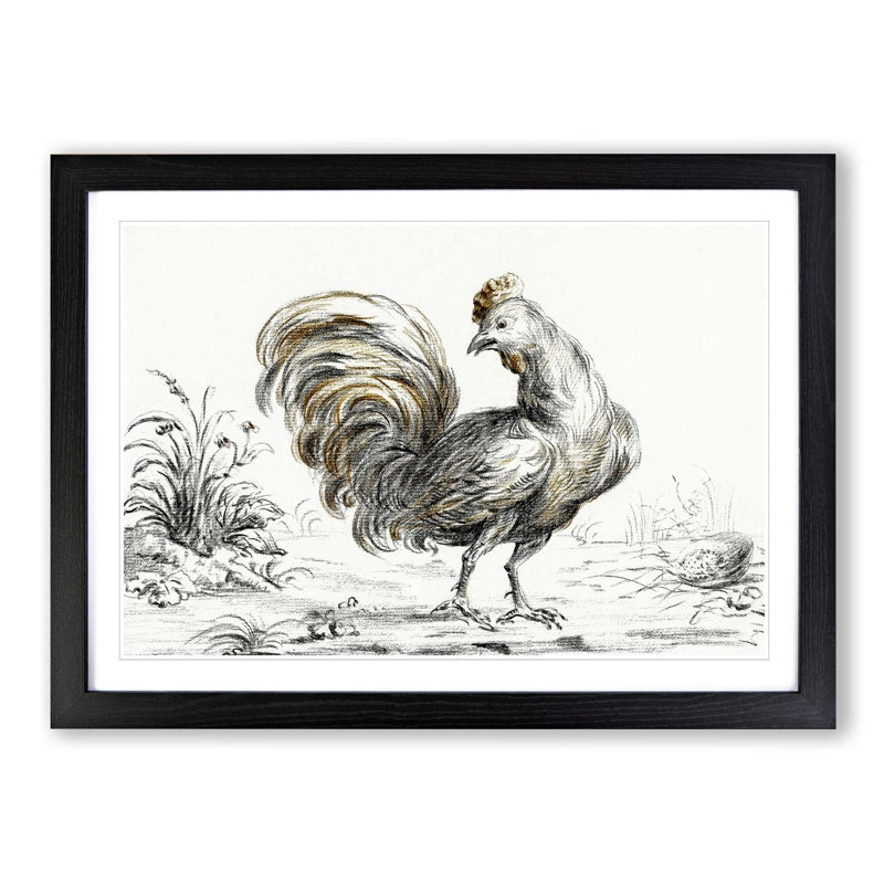 Rooster by Jean Bernard - Picture Frame Graphic Art Print, 40cm H x 60cm W x 2cm D, Black