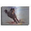 «Horse s'amusant» par Robert Campbell-642092418