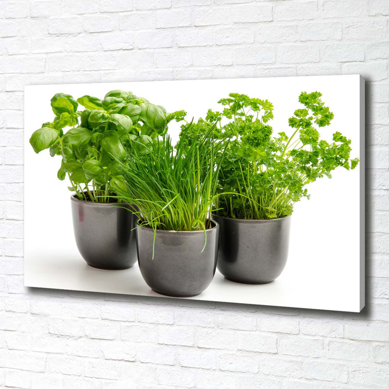 Herbs In Pots - Wrapped Canvas Print