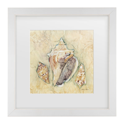 «Cheri Blum Shells III», art encadré mat