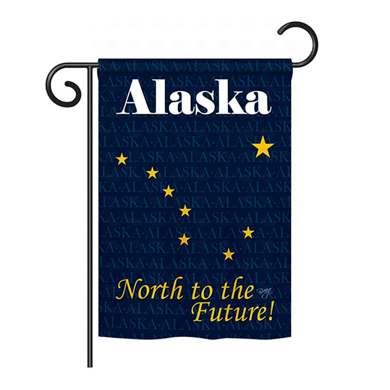 Drapeau de maison en polyester à 2 côtés US State, H 18,5 po x l 13 po, Alaska