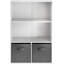 Anaclara 90cm H x 60cm W Bookcase