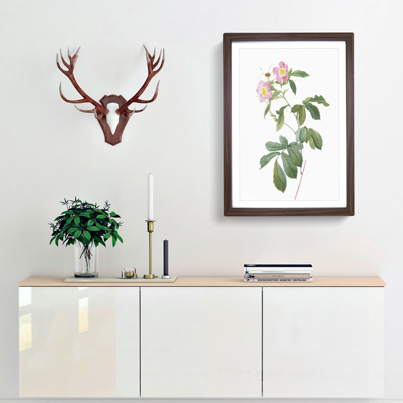 Alpine Roses In Pink by Pierre-Joseph Redoute - Single Picture Frame Painting, 45cm H x 33cm W x 2cm D, Walnut Framed