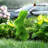 Turf Topiary Standing Rabbit 18-in