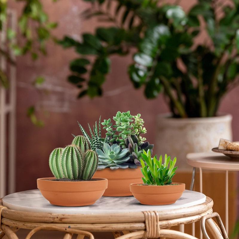 Ensemble de 6 pots à plantes en argile avec trous de drainage