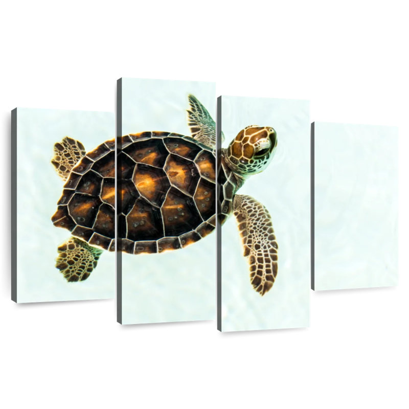 Bébé tortue Brampt, H 42 po x l 68 po