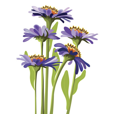 " Purple Aster " by Apola