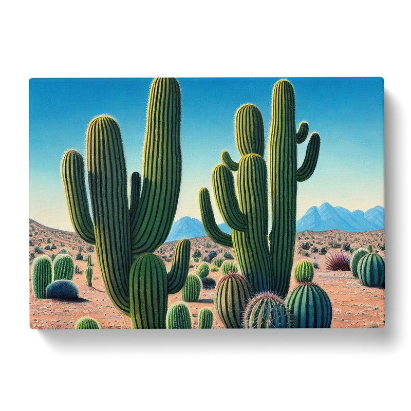 Desert Cactus - Wrapped Canvas, 35cm H x 50cm W x 3cm D