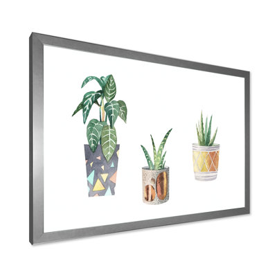 " Three Potted Houseplants " Painting Print