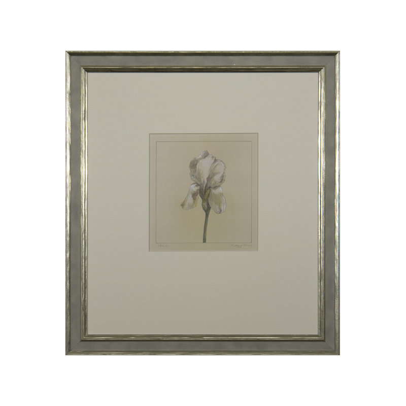 " Iris "