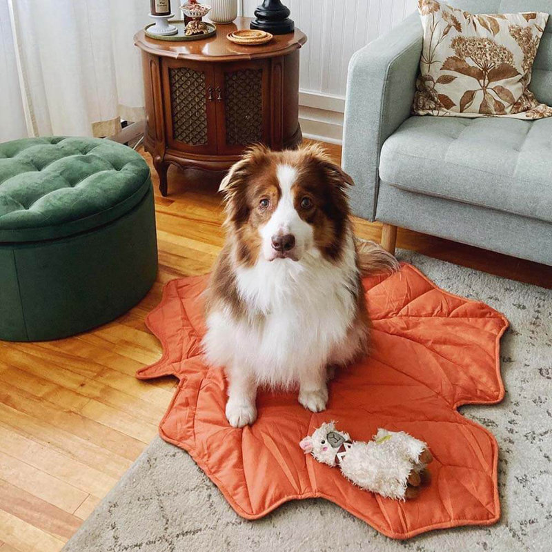 Leaf Shape Pet Blanket, Maple Red