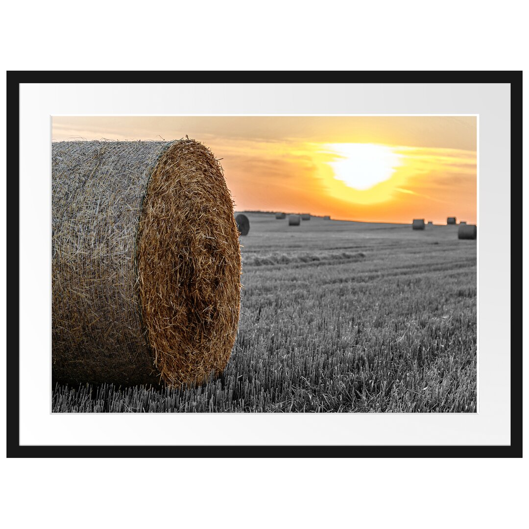 Gerahmtes Poster Strohballen auf Feld