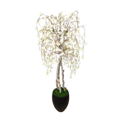 7' Cherry Blossom Tree in Fiberstone Planter