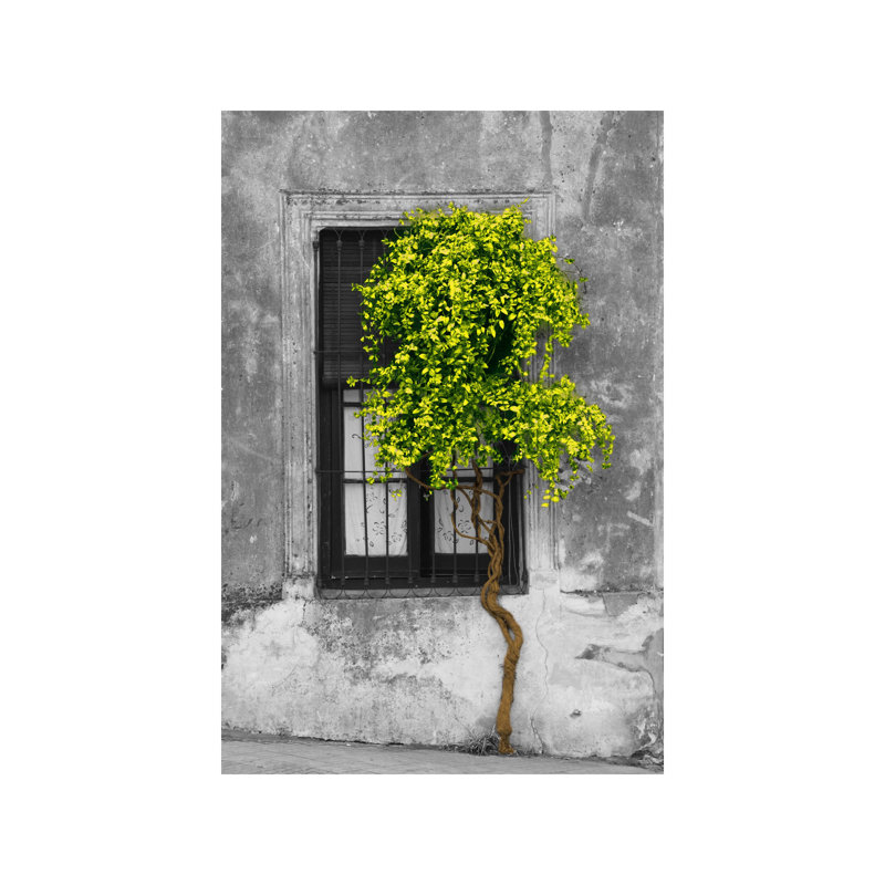 Panoramic Images - Print on Canvas, 66.04 cm H x 45.72 cm W, White Framed