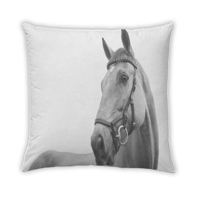 Coussin 10 animaux