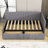 Roya Twin Size Upholstered Daybed with 2 Storage Drawers-88567878