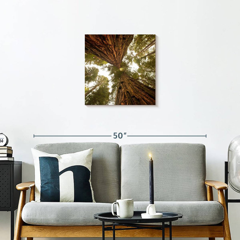 Alvord Towering Sequoia Trees, 20" H x 20" W