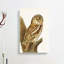Tawny Owl by Von Wright - Wrapped Canvas-55358755