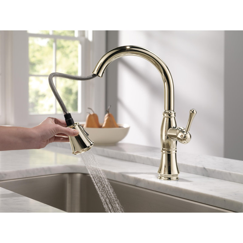 Robinet de cuisine rétractable Cassidy, robinets de cuisine avec pulvérisateur rétractable, robinet d'évier de cuisine, robinet pour évier de cuisine, support magnétique, nickel poli Lumicoat
