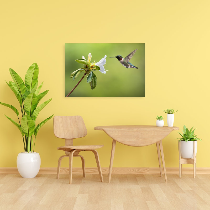 Delicate Hummingbird Hover Delicate Vibrant Hummingbird Bird Flower Nature Wall Art Print by Atul Saluja - Print
