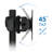 Displays Stand 2 Screen Desk Mount