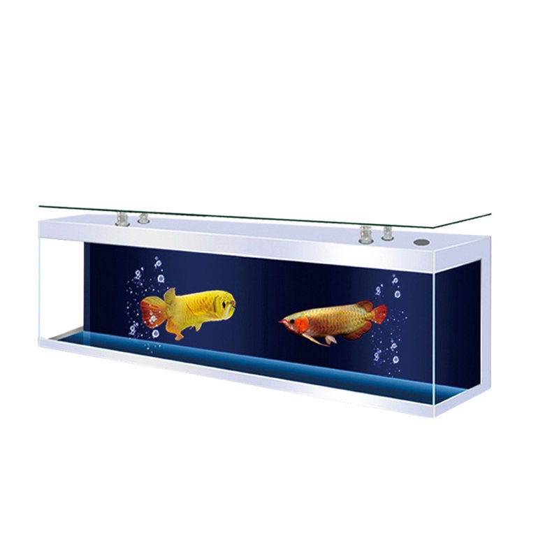 Eco-aquarium 90 gallons, 110 gallons (H 23,6 po x l 70,8 po x P 15,7 po), Blanc