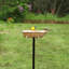 Bain d'oiseaux Brander-1041282362