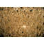 Tessa 5 - Light Chandelier-1814511798-1814511757