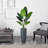 Traveler's Palm Artificial Tree in Gray Planter