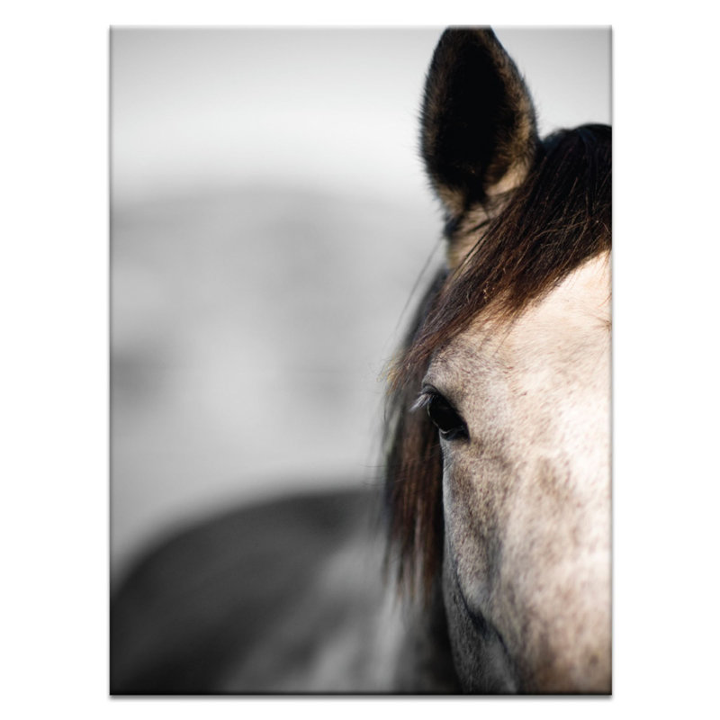 Joe Vittorio - Wrapped Canvas Print, 76cm H x 51cm W x 3.8cm D