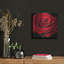 Red Rose 02' by Tom Quartermaine, Metal Wall Art-1842857490