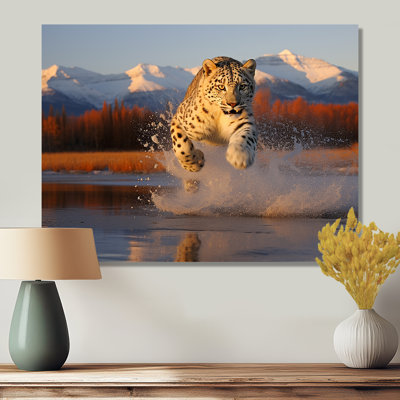 Cougar qui court dans la rivière de montagne - reproduction d'art léopard / guépard