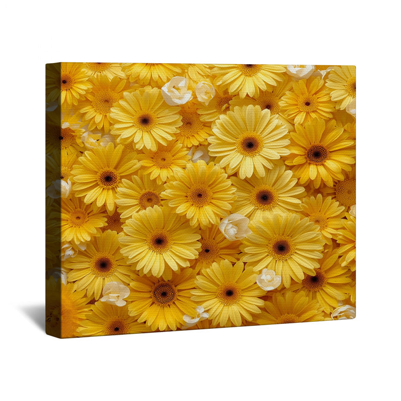 Toile jaune avec motif de marguerites jaunes Gerbera, 16 x 16 pouces