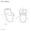 Daxton One Piece Elongated Dual Flush Toilet