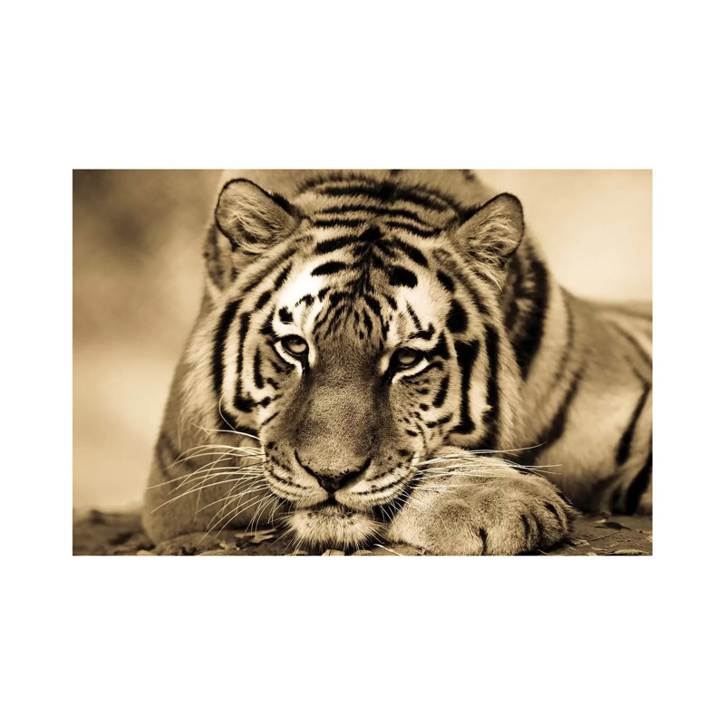 Tiger II 1 Piece Wrapped Canvas Wall Art, 20.32 cm H x 30.48 cm W