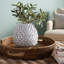 Warnick Handmade Terracotta Table Vase-767515242